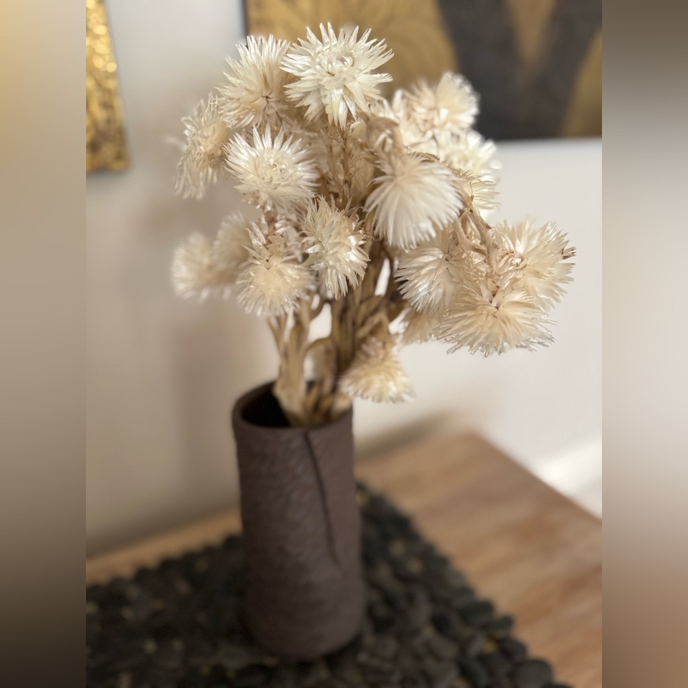 Bundle of Dried Helichrysum “Everlasting” Strawflowers - NEW